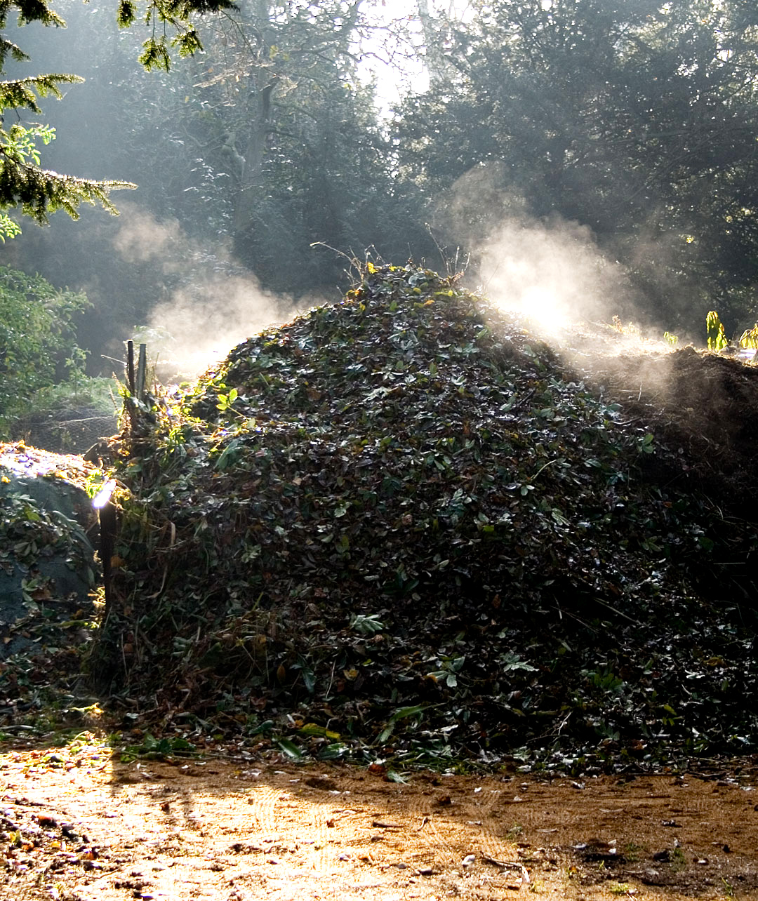Steaming Compost
